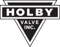 Holby Values